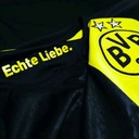 Ballspielverein Borussia 09 e.V. Dortmund