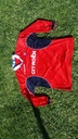 10 - Celta - Gudelj UEFA Roja