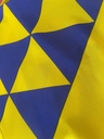 Unión Deportiva Las Palmas