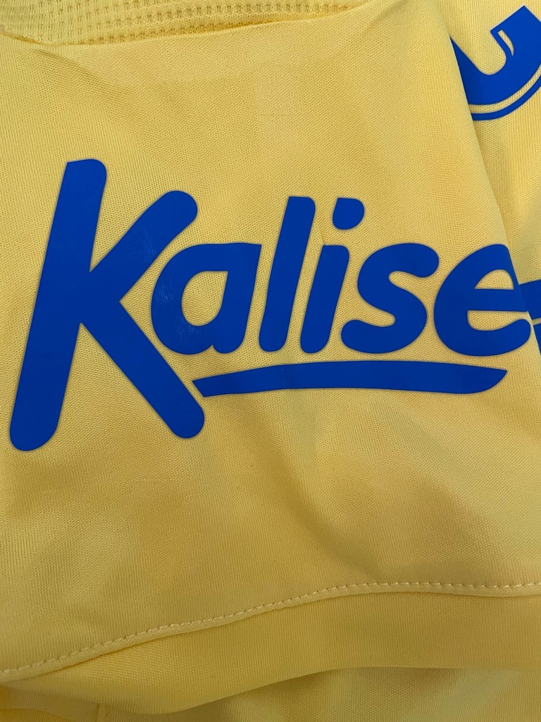 23 - Unión Deportiva Las Palmas - D. CASTELLANO