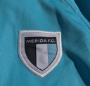 Merida