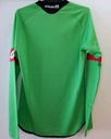 Hoffenheim