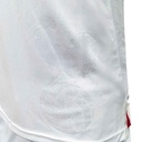 Bari 1908