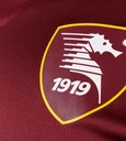 U.S. Salernitana