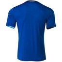 TSG 1899 Hoffenheim