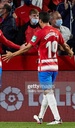 19 - Granada cf - Montoro J.M.