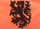 14 - Seleccion Holanda