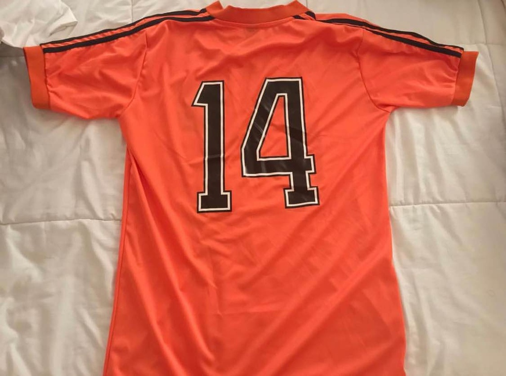 14 - Seleccion Holanda