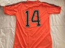 14 - Seleccion Holanda