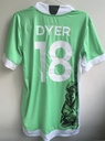 18 - Dyer