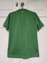 Selección irlandesa - .