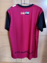 CD Monterrubio