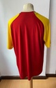 Seleccion Ghana