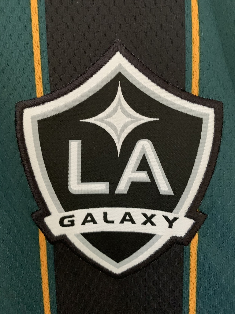 Los Angeles Falaxy
