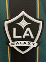 Los Angeles Falaxy