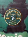 24 - Zhejiang Greentown Football Club - TANA (CHINO)