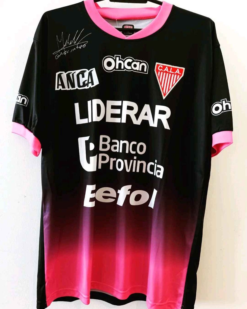 1 - Los Andes