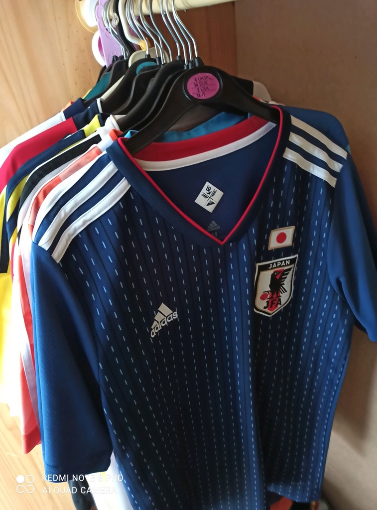 Japón