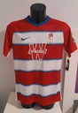 4 - Granada CF - Gonalons