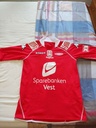 Sportsklubben Brann