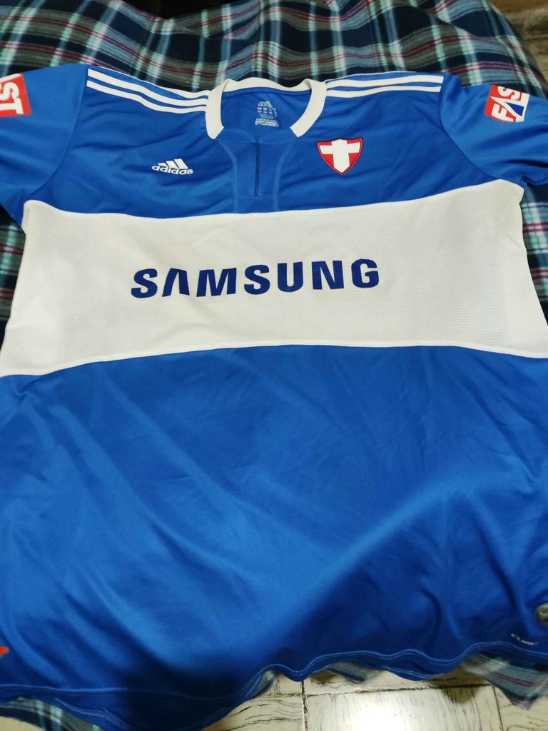 Palmeiras