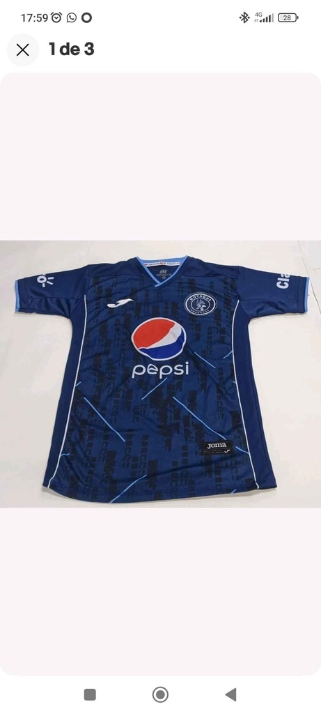 Fútbol Club Motagua