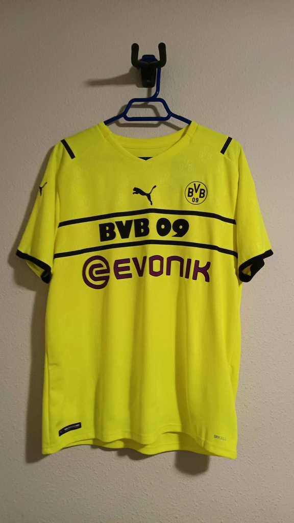 7 - Borussia Dortmund - Reyna