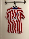 Atlético de madrid