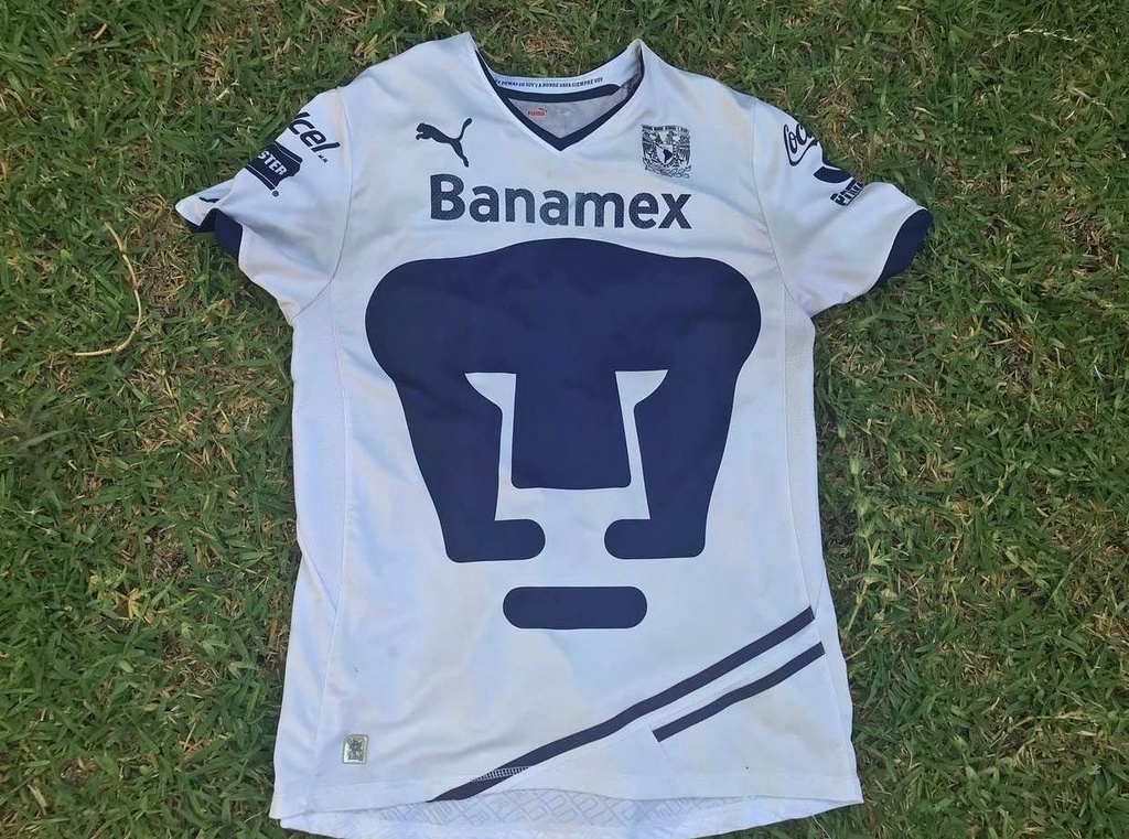 Pumas