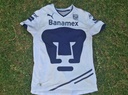 Pumas