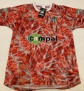 CD Guijuelo