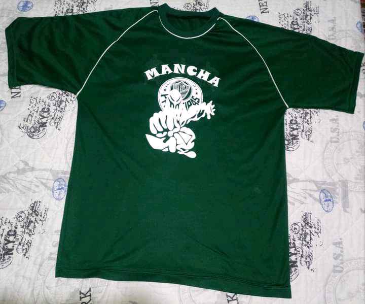 Palmeiras