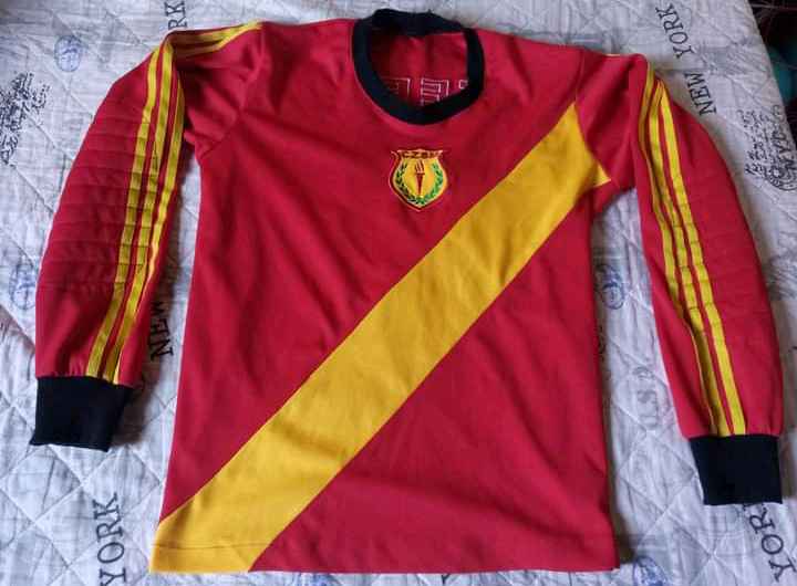 12 - Zorrilla