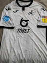 Swansea City
