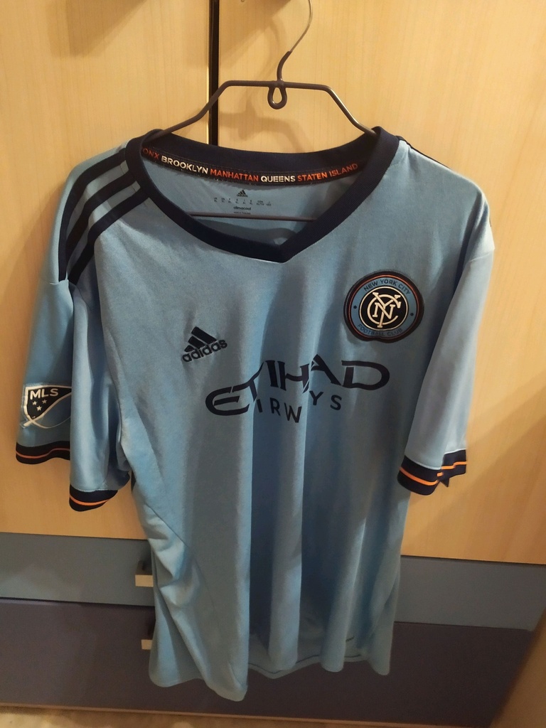 7 - New york city - David villa