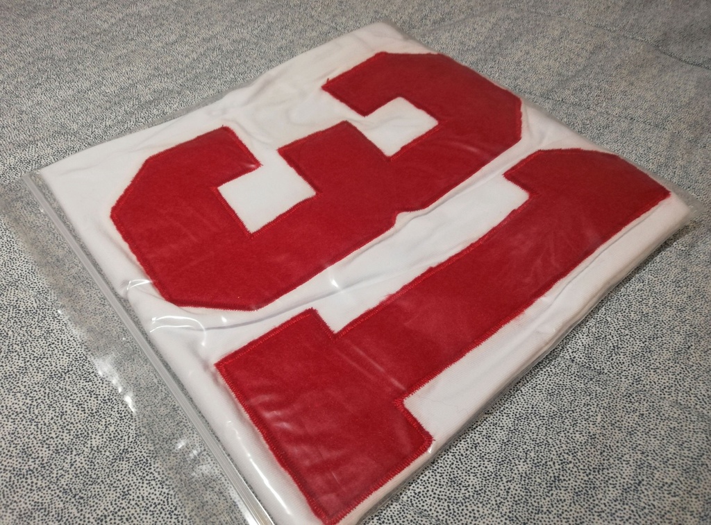31 - Ldu
