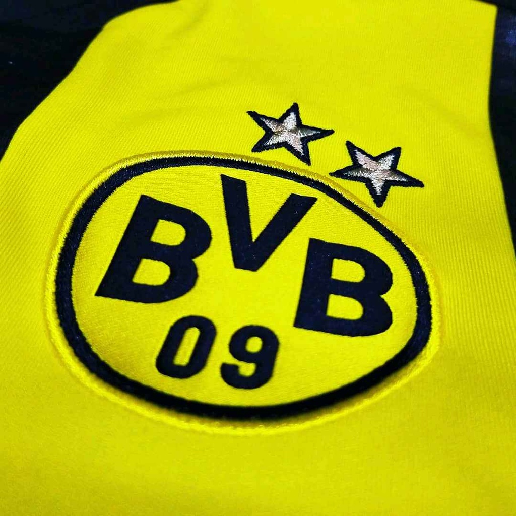 Ballspielverein Borussia 09 e.V. Dortmund