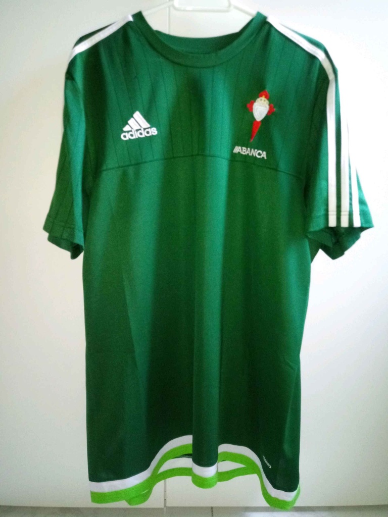 R.C. Celta de Vigo