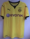 17 - Borussia Dortmund - Aubameyang (Puma)
