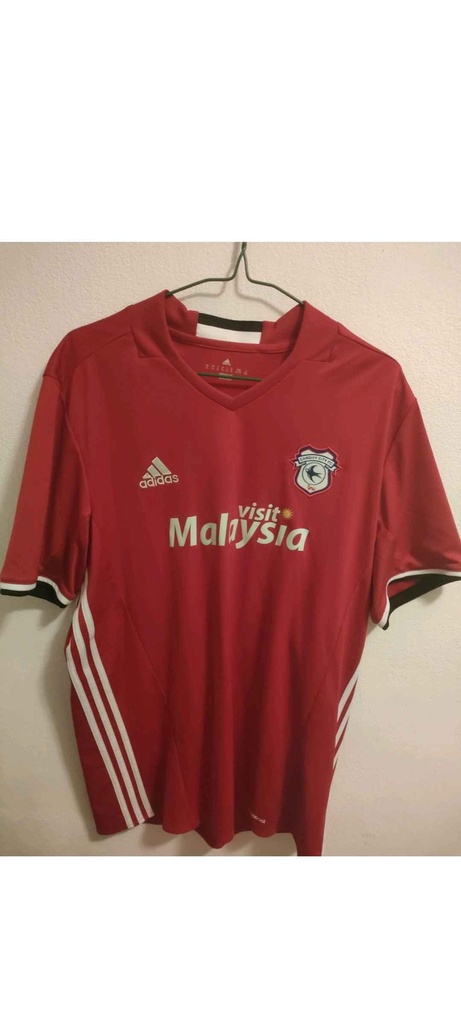Cardiff City
