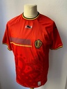 Seleccion Belgica