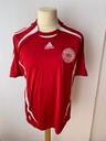 Seleccion Dinamarca