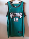 Memphis grizzlies