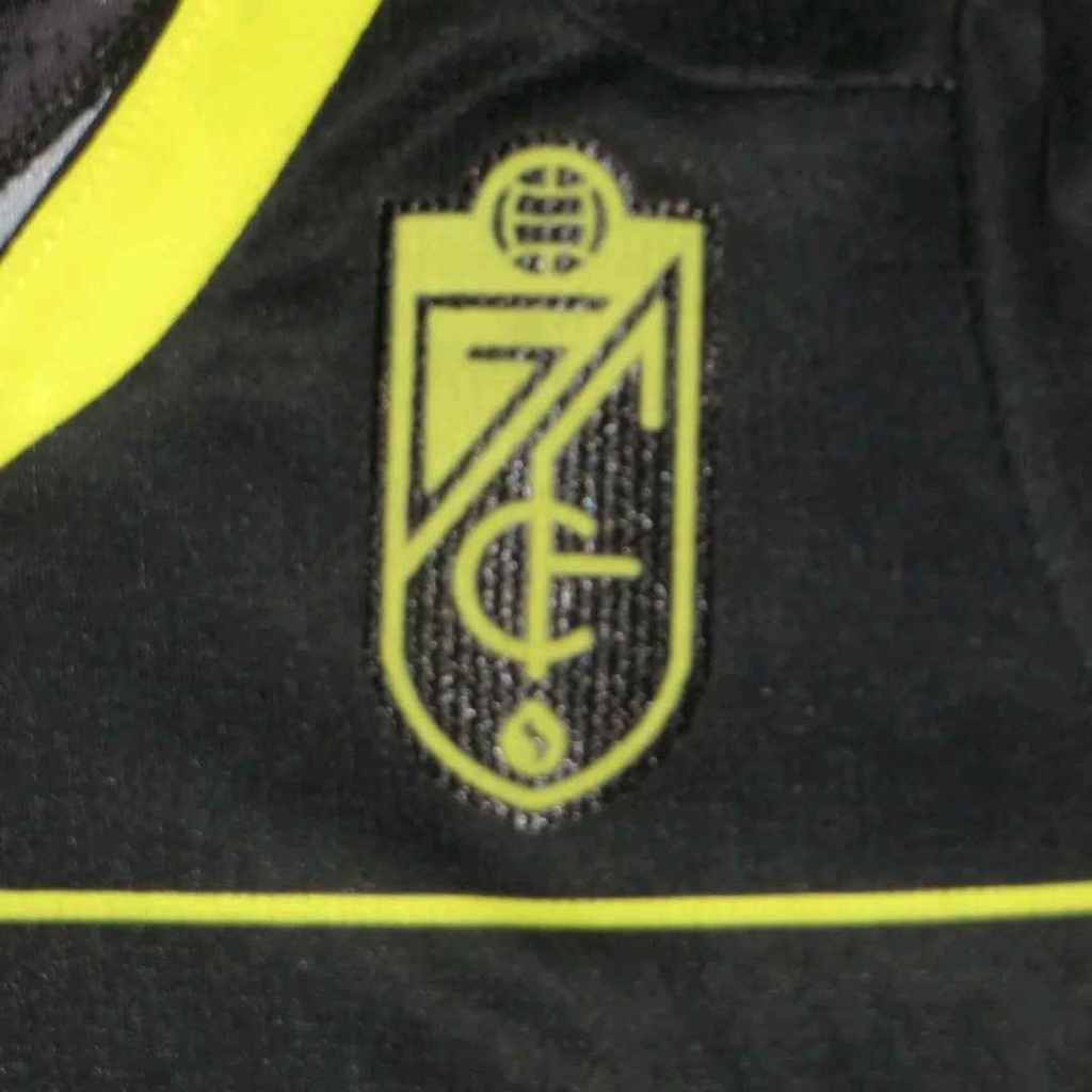 Granada club de futbol