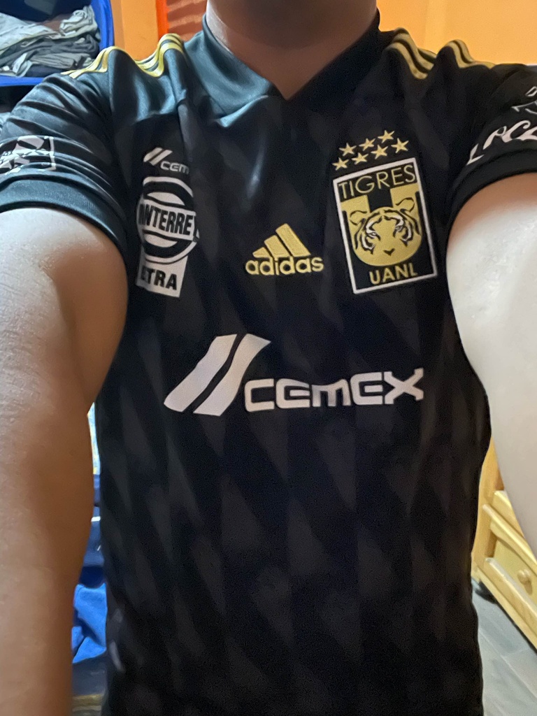 Tigres