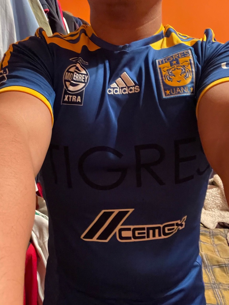 Tigres