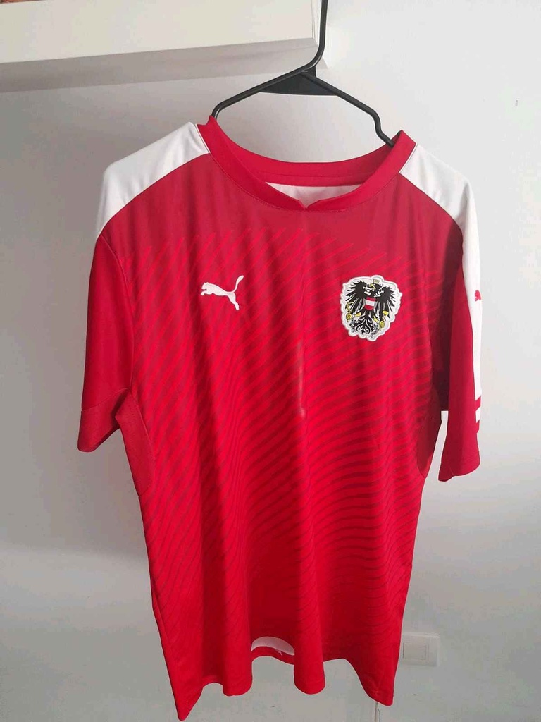 10 - Austria - Junuzovic