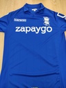 Birmingham city