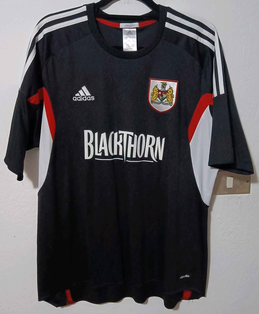 Bristol city
