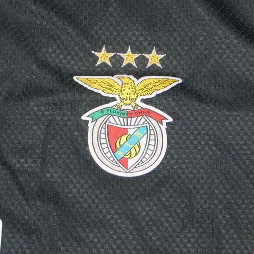 Sport Lisboa e benfica